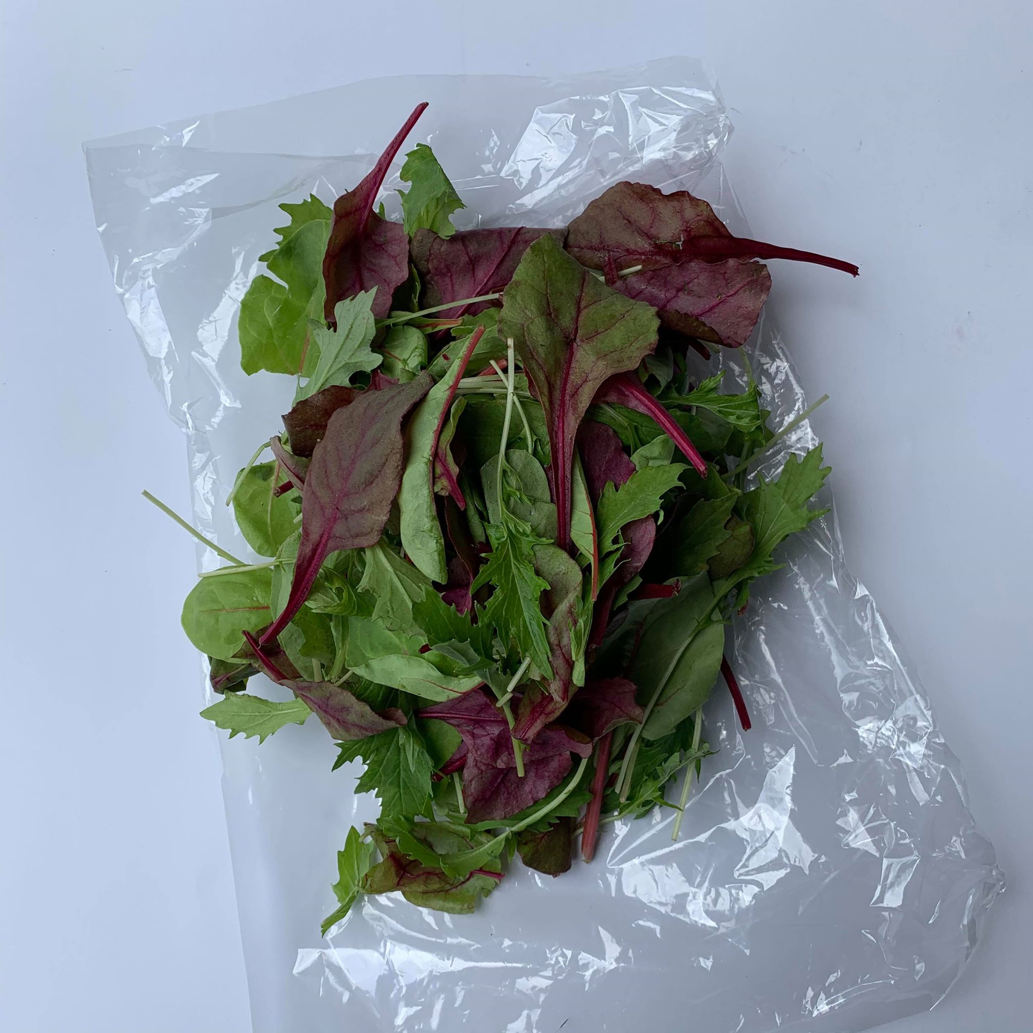 MIXED BABY LEAF MIX (125g) Down Wholesale
