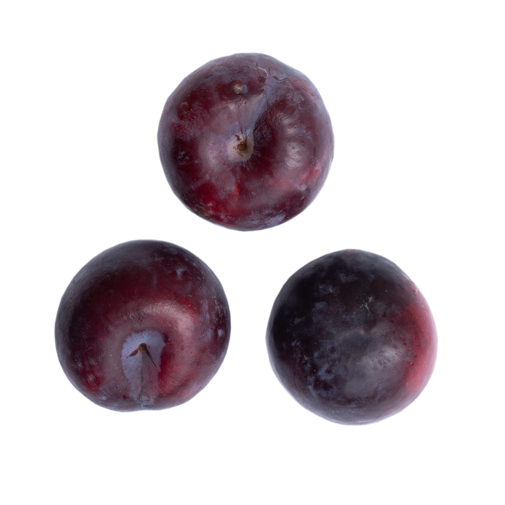 PLUMS (500g) Down Wholesale